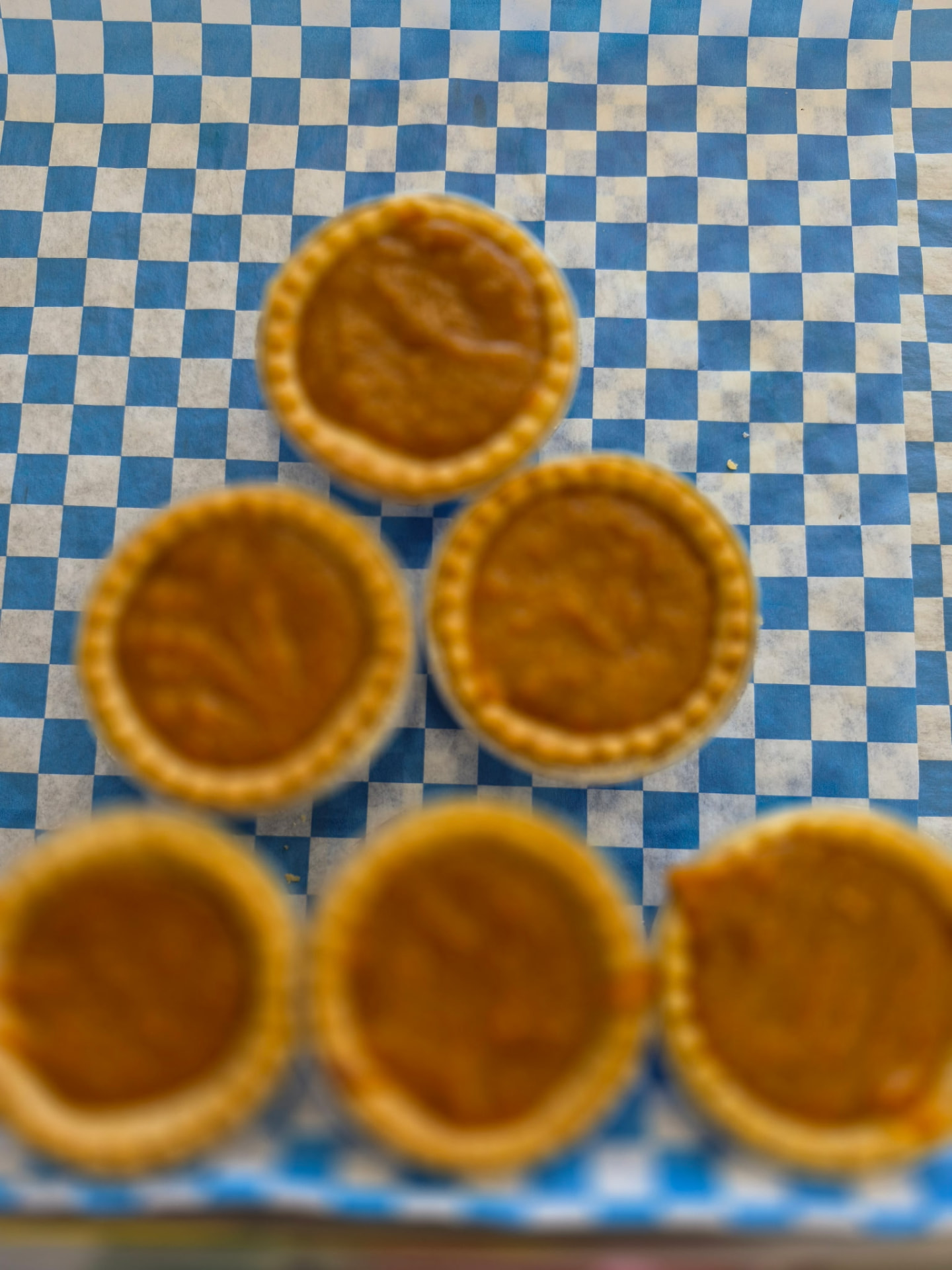 Freshly baked sweet pies on blue checkered paper